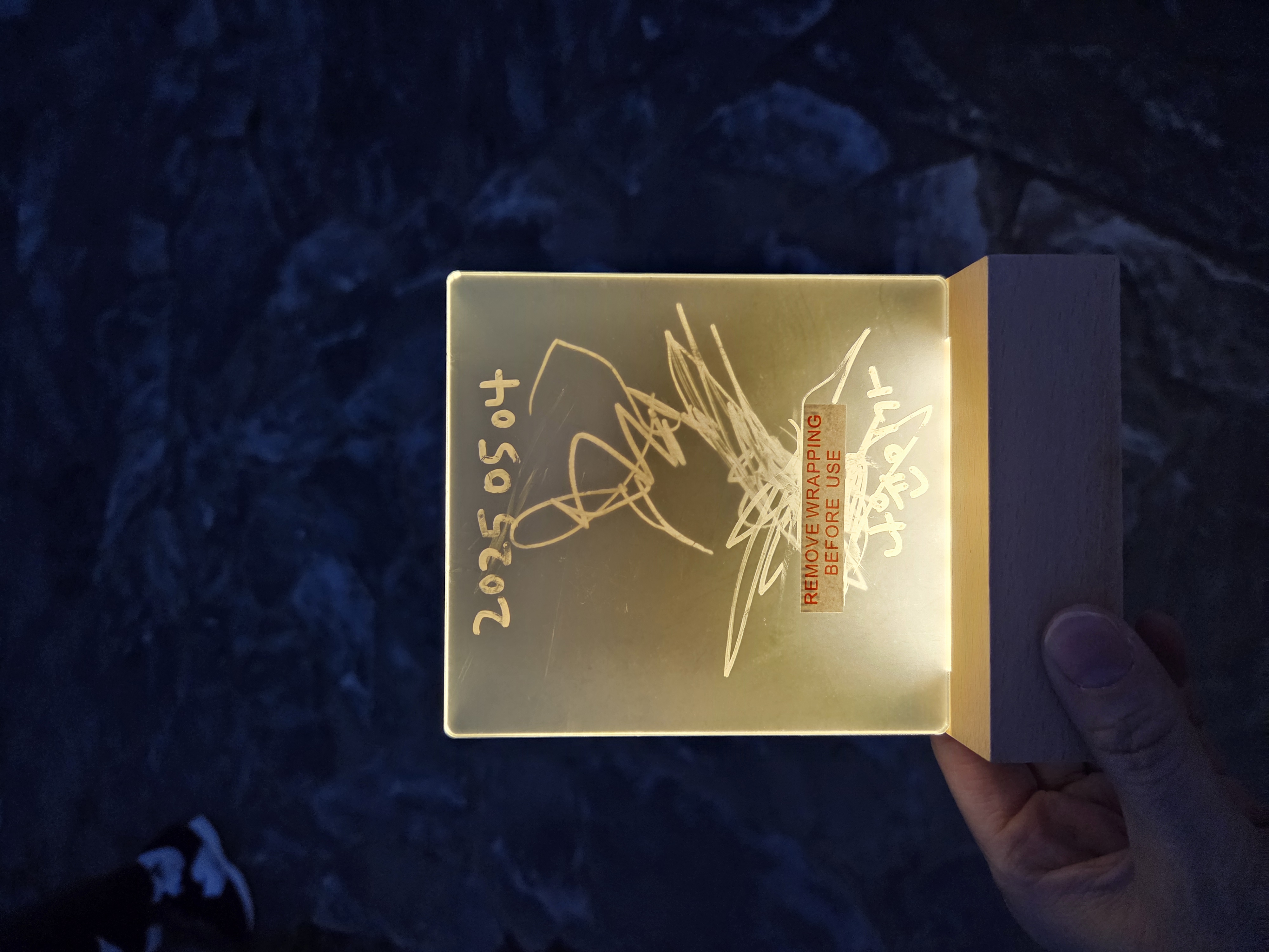 26개월 아기와 함께 야경투어