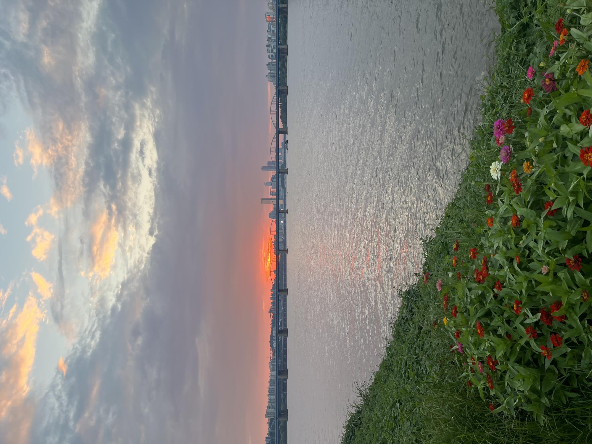 반포한강야경투어