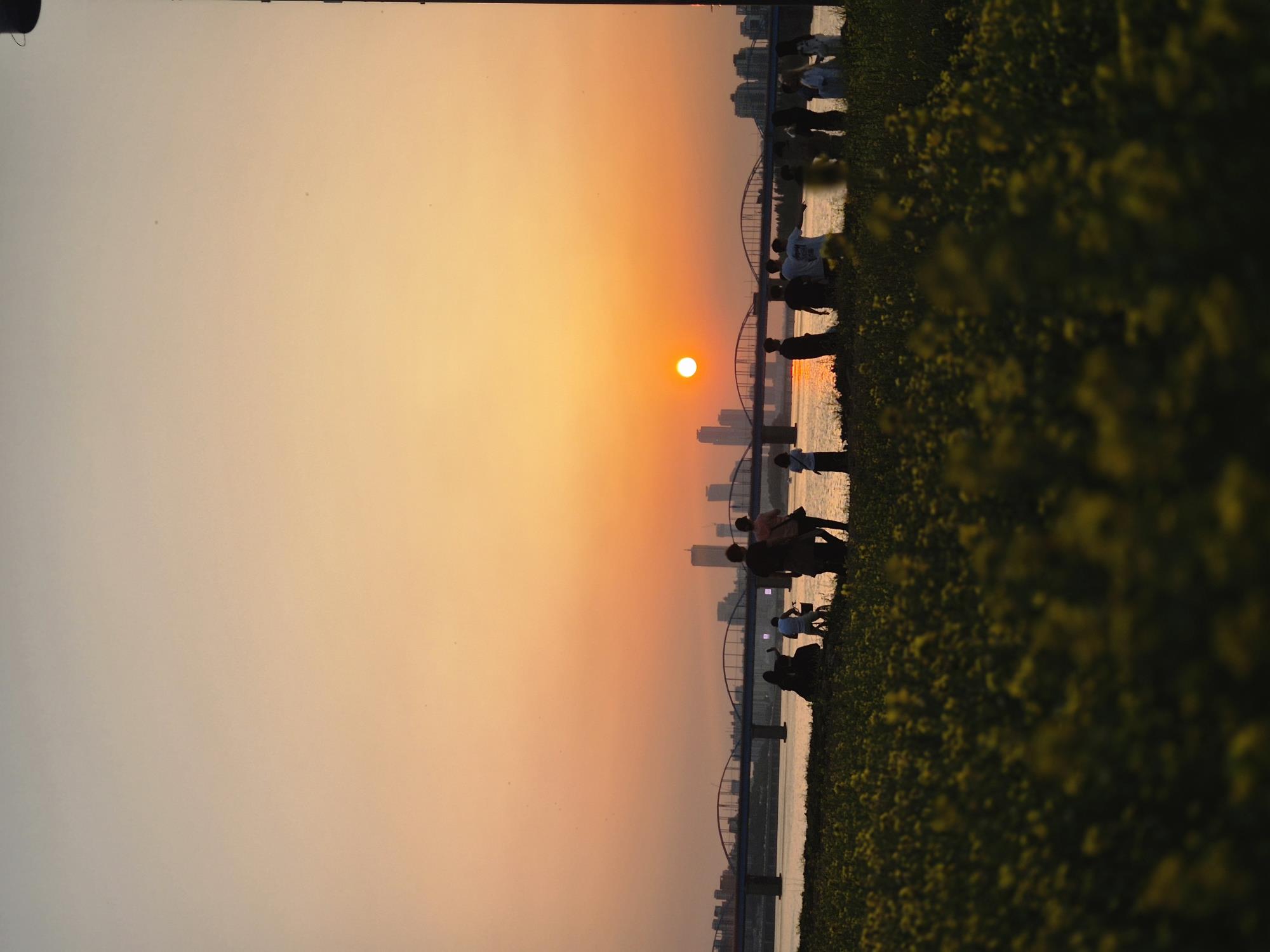5월의 한강추억♡
